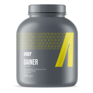 Visly Gainer 2700g